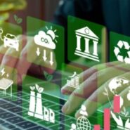 Curso Experto: Professional Certificate en Sostenibilidad