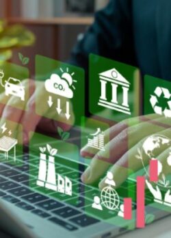 Curso Experto: Professional Certificate en Sostenibilidad